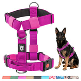 Harnais TSPRO chien sans traction pour promenades plus calmes