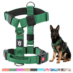 Harnais tactique premium TSPRO vu de face, confort renforcé pour les promenades.