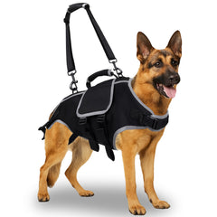 Harnais TSSEXU levage chien – soutien corporel complet pour mobilité.