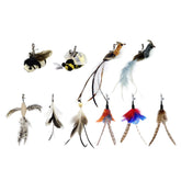 TTcat remplissage plumes et insectes simulés pour chat actif