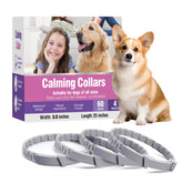 TTLXBL collier phéromone chien – emballage pack 4 pour relaxation durable lors des sorties et voyages.