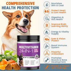 TTLXBL probiotiques chien soutien digestion et flore intestinale