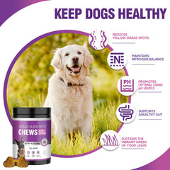 TTLXRL friandises chien goût poulet apaisant pour chiens difficiles
