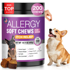 Gomme TTLXRL Allergie Chien emballage pratique et facile à distribuer