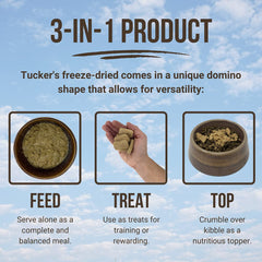 Chien heureux près du bol Tucker's Raw Frozen
