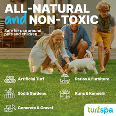 TurfSpa Turf Detox — Spray en action sur une allée, démontrant l’action enzymatique en profondeur.