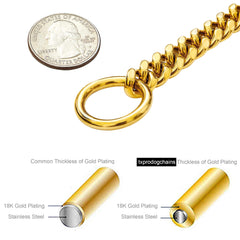 txprodogchains collier 10 mm, vue avec attache de laisse sécurisée.