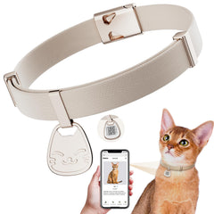 Collier Typecase avec QR Code et etiquette, récupération rapide du chat.