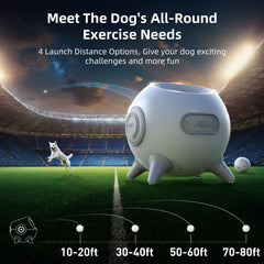 uahpet distance reglable 20-80 pieds: adaptabilité pour espaces variés.