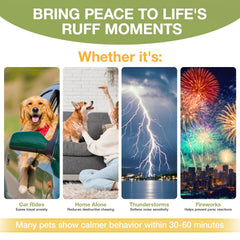 UEOWJET Hemp Calming Chews : doseur précis pour tous les chiens