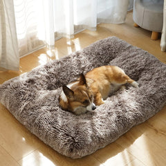 ULIGOTA matelas caisse durable, soutien fiable pour compagnons actifs.