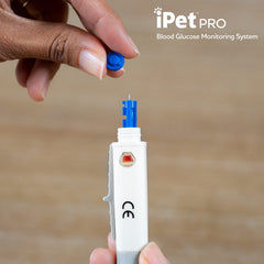 Lancettes UltiCare VetRx iPet Pro pour prélèvement veineux marginal de l’oreille.