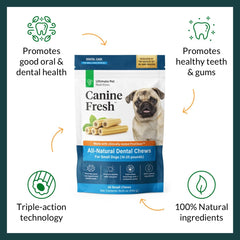 Canine Fresh par ULTIMATE PET NUTRITION – planche d’essai, gencives plus confortables