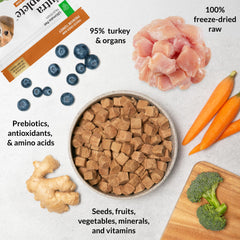 Nutra Complete dinde dans un bol chien, repas savoureux et équilibré.