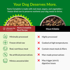 Nutra Complete – mélange graines et fruits apportant des nutriments variés.