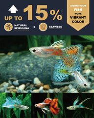 Ultra Fresh Royal Guppy Mignon : vitamines clés soutenant croissance et nageoires.