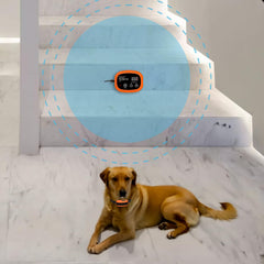 UltraCrab barrière intérieure pour chien dans le salon, délimitation des zones