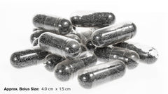 Bolus cuivre UltraCruz pour bovins — démonstration d'administration avec le pistolet