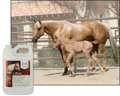 UltraCruz utilisation spray – application facile au pré