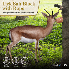 Bloc sel Himalaya UMAID accroché solidement sur corde.