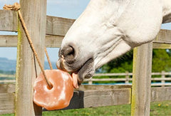 Gros plan sur le sel: UMAID sur corde, lot 2 paquets.