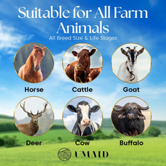 UMAID Sel Himalayen en corde pour vache, soutient un apport minéral naturel.
