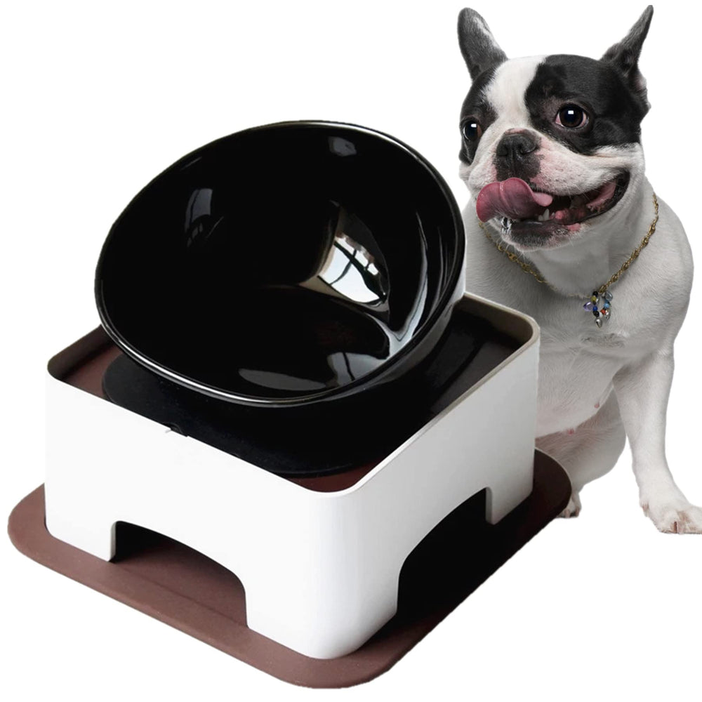 Bol Umisun en céramique pour bouledogue, ouverture large et stabilité.