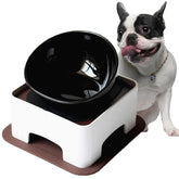 Bol Umisun en céramique pour bouledogue, ouverture large et stabilité.