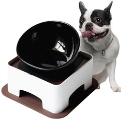 Bol Umisun en céramique pour bouledogue, ouverture large et stabilité.
