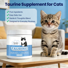 Cuillère-dose Umizze Taurine, dose précise pour chaque repas.