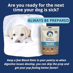 Under the Weather Bland Diet – ajouter de l'eau et réhydrater rapidement.