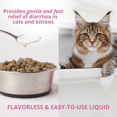 Under the Weather – Mélange du liquide dans l’alimentation du chat.