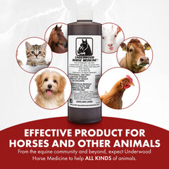 Underwood spray plaie cheval et chien, usage sur animaux domestiques.