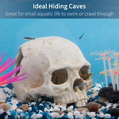 Squelette en résine Uniclife, décor d'aquarium, cachette sûre pour petits poissons.