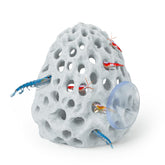 Uniclife Grotte crevettes – roche-corail: cache sécurisée et décor réaliste