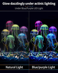 Méduse lumineuse Uniclife bleue, détail du décor aquatique lumineux