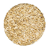Unida Alpiste Canari: sac de 10 lb, alimentation naturelle pour petits oiseaux.