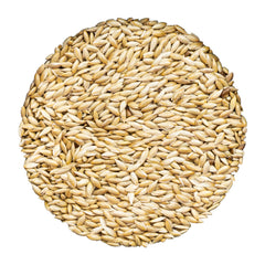 Unida Alpiste Canari: sac de 10 lb, alimentation naturelle pour petits oiseaux.