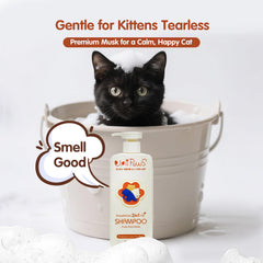 Écume douce lors du lavage du chat, soin sans irritations