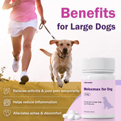 Comprimé Unipomme Meloxmax chien grand utilisé quotidiennement.