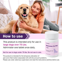 Emballage Meloxmax 90 comprimés pour grands chiens.