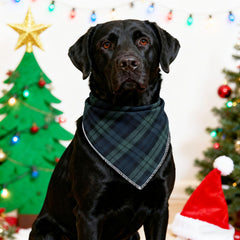 Bandana Unique Style Paws vert carreaux petit chien, ajustement simple et sûr.