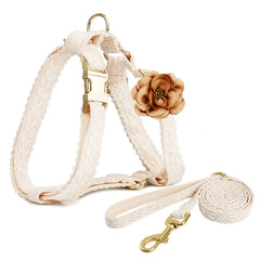 Harnais UOSIA Easy Walk anti-pull pour chien, confort et contrôle lors des promenades.