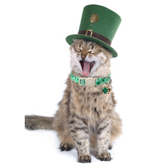 Motif trèfle sur collier UP URARA PUP Saint-Patrick vert – style festif