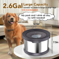 Upsky capacité extra-large 10l bol eau inox parfait pour plusieurs chiens