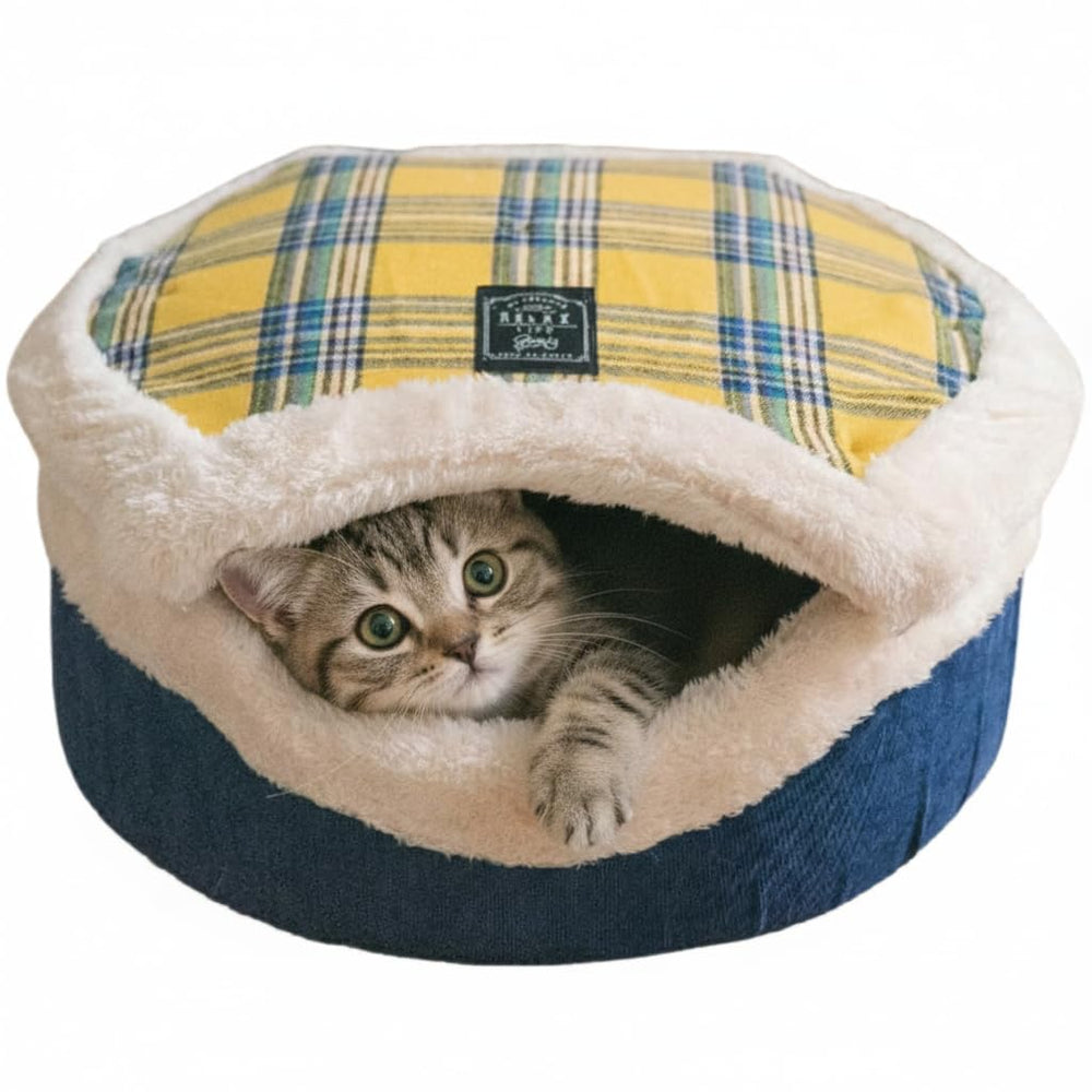 Urnat cave-chat chauffante: refuge douillet pour chat.