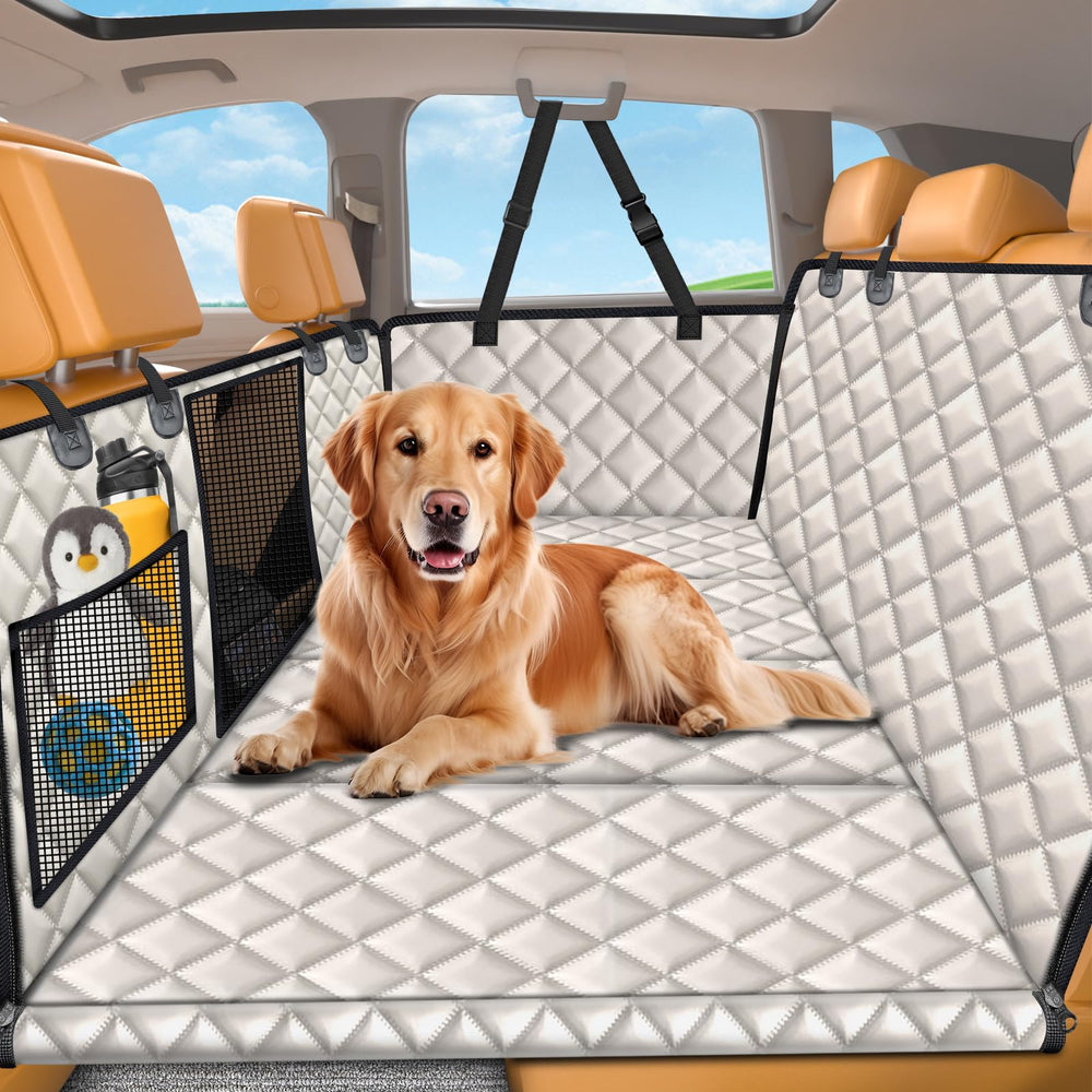 URPOWER extendeur arriere avec base rigide pour chien, offre stabilité et espace protégé