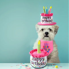 Ushang Pet gâteau-anniversaire-chien: matériau doux et durable pour jeux quotidiens.
