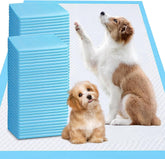 Tapis UYDJKLS Puppy XXL avec absorption rapide pour l'entraînement