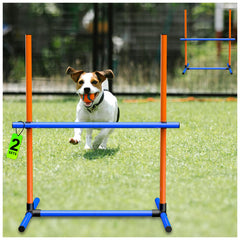 Chien en action utilisant Uzpomel pour sauts et coordination